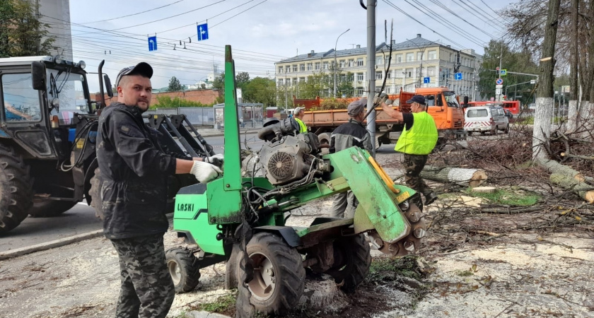 Какие улицы озеленят в Кирове в 2024 году?