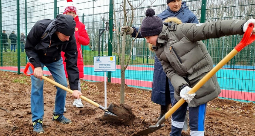 В 2023 году жители Кировской области высадили 17 тысяч деревьев