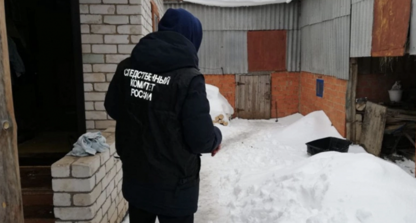 Подросток из Фаленского района проник на чужую территорию и взял что хотел