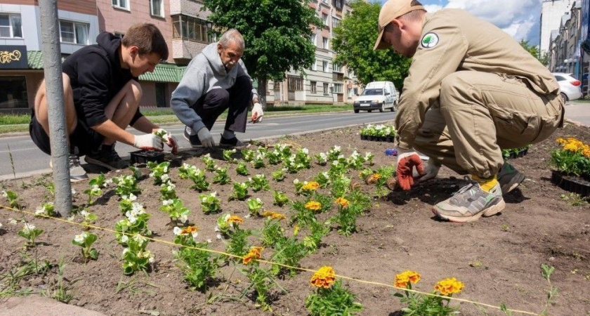 В 2024 году в Кирове обновят цветники
