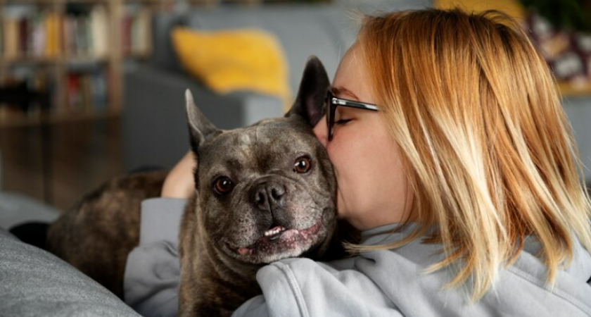 где оставить животное на время отпуска. где можно оставить собаку на время отпуска. где можно оставить собаку на время. няня для животных. оставить собаку на время.