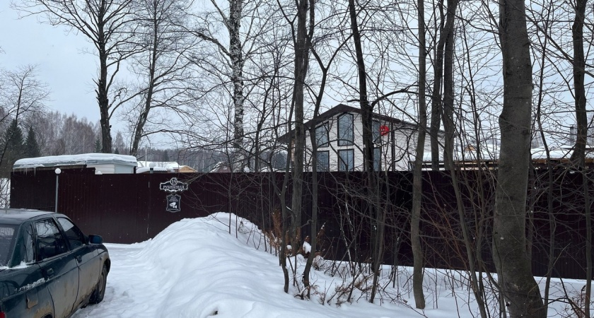 Дачникам пригрозили тюрьмой: правительство РФ запретило выращивать популярное декоративное растение