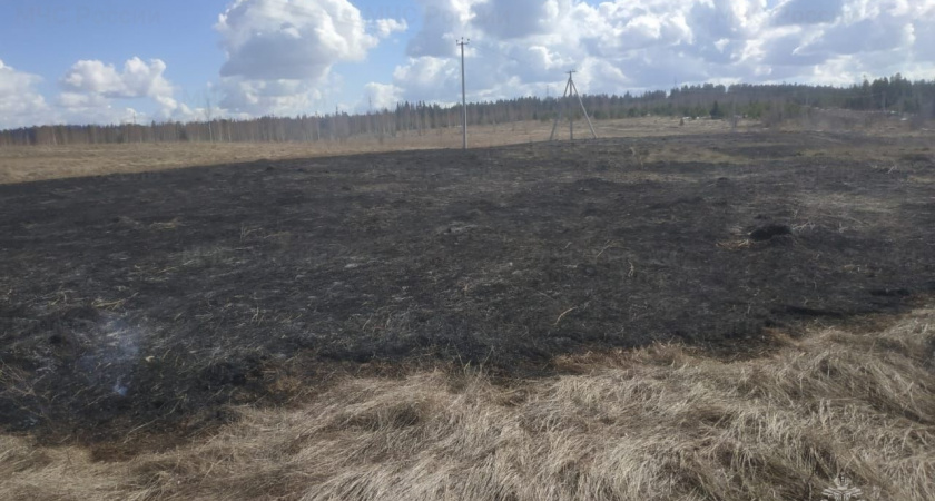 В Кировской области зафиксирован первый в году природный пожар