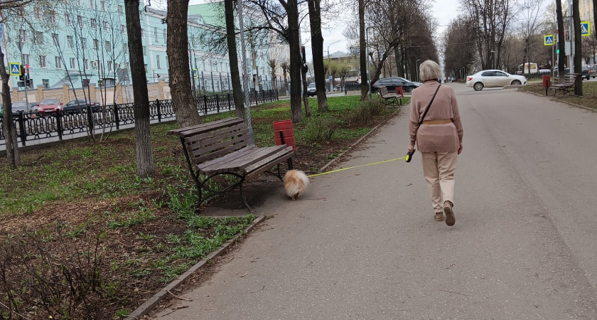 Температура упадет до +2 градусов: прогноз погоды в Кирове на 1 мая