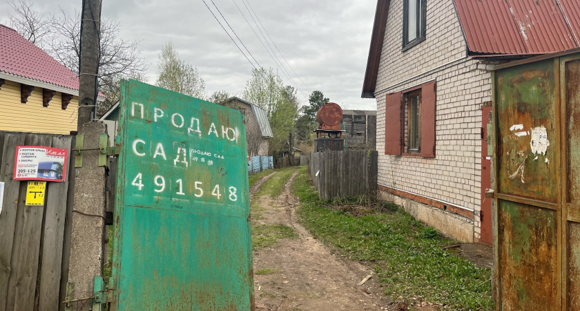 Россиян оставляют без "второго хлеба": за посадку картошки на даче будут безжалостно штрафовать