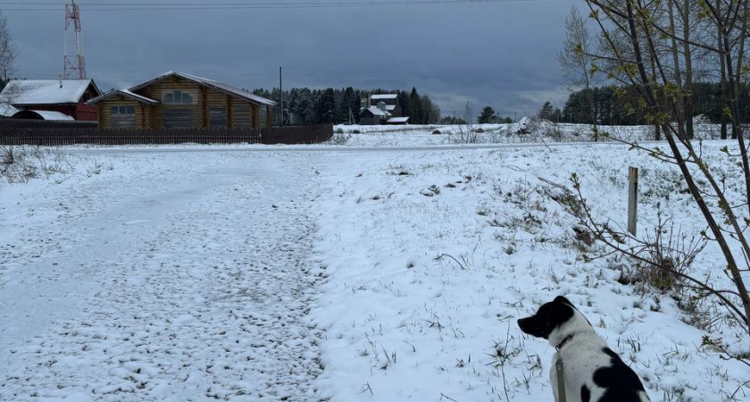 Киров укутается в сугробы: на область надвигается снежный шторм