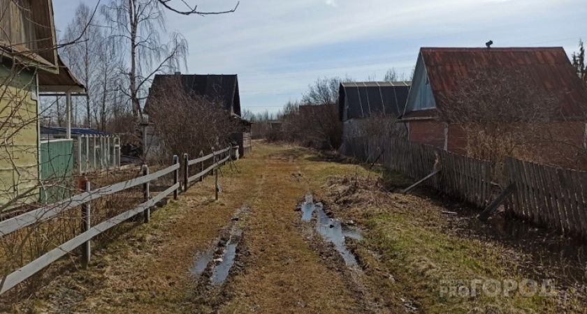 Россиян оставляют без "второго хлеба": за посадку картошки на даче начнут безжалостно штрафовать