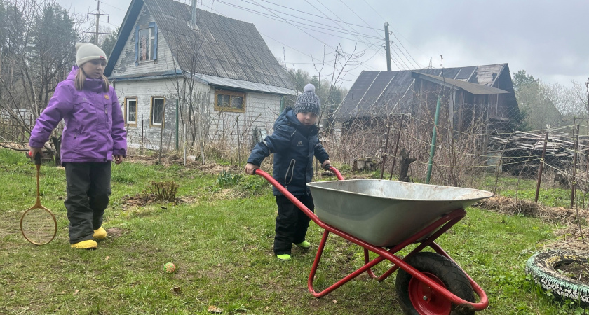 Лучше навоза и биогумуса - этот порошок содержит полтаблицы Менделеева: посыпаем грядки в мае