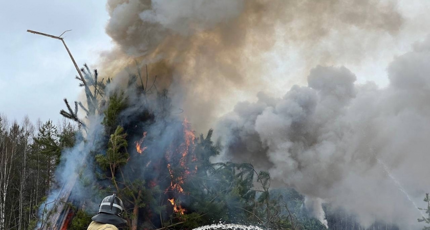 Лес снова горит: пожар произошел 7 мая в Кировской области
