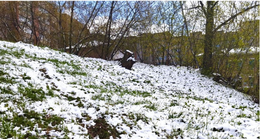 Похолодание после Пасхи - старинная примета на май и июнь