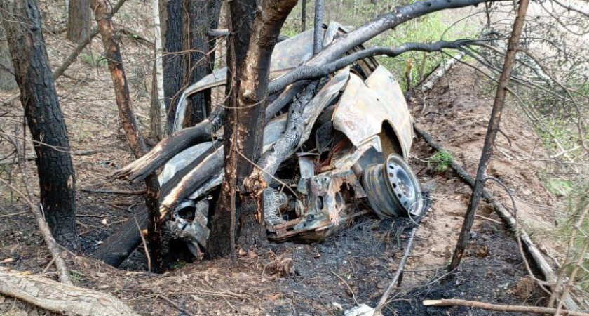 В Вятскополянском районе водитель легковушки врезался в дерево 