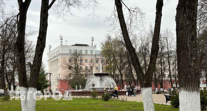 Очередные заморозки ожидают жителей Кировской области 18-19 мая