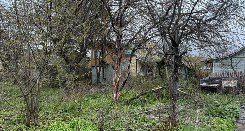 Самая вредная ягода: мы едим ее как лакомство, еще и детей заставляем
