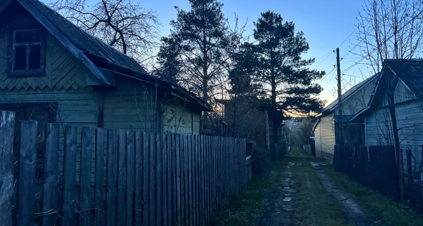 Жители Кировской области принялись массово скупать дачи
