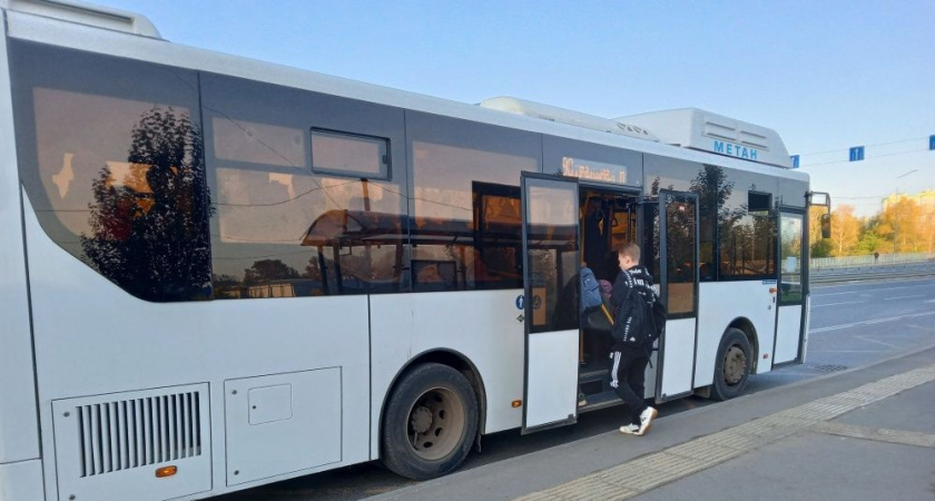 Кировчанам предложили купить проездной на безлимитные поездки в транспорте