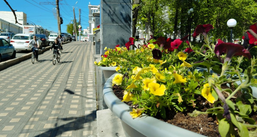 Киров получил современные цветники к юбилею при поддержке "Т Плюс"