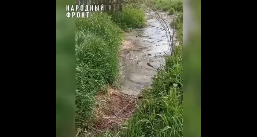 Жители Кировской области вынуждены терпеть фекальный "ручей" и страдать от нашествия насекомых