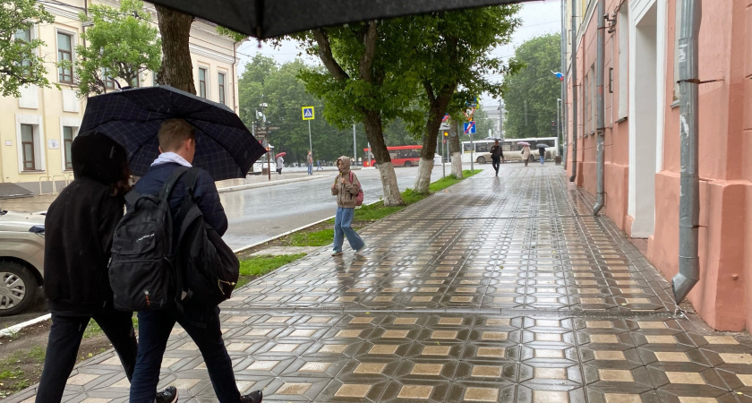 Во второй половине июня в Кирове выпадет 3/4 нормы осадков