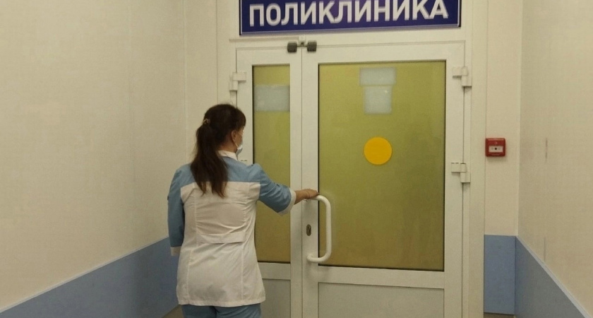 Кировская область заняла второе место в России по числу укусов клещей