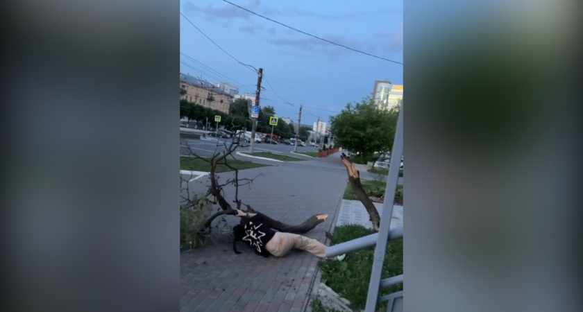 В Кирове молодые люди сломали дерево на Октябрьском проспекте и скрылись