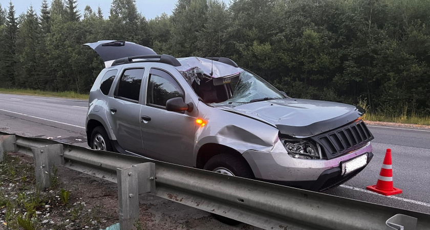 В Мурашинском районе выбежавший под колеса лось проломил лобовое стекло машины