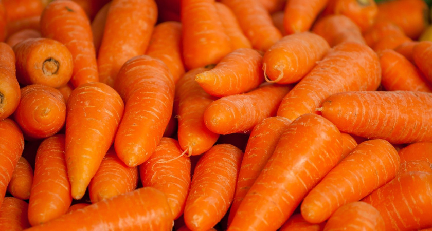 Морковь сразу пойдет в рост: в начале июля полейте этим раствором, первый шаг к богатому урожаю