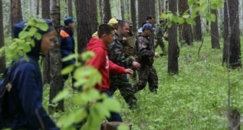 Полицейские нашли пропавшего 75-летнего грибника из Санчурска