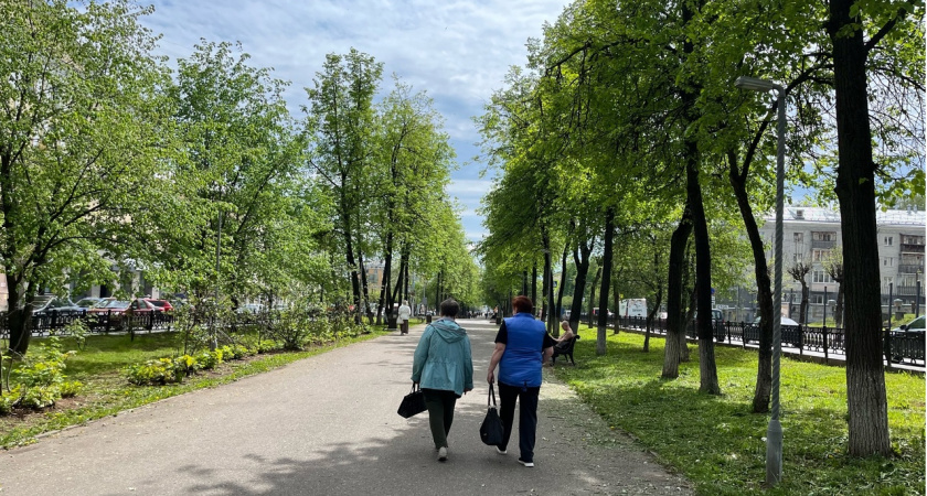 До +33 градусов: синоптики рассказали, когда вернется жара. Ждать осталось совсем недолго