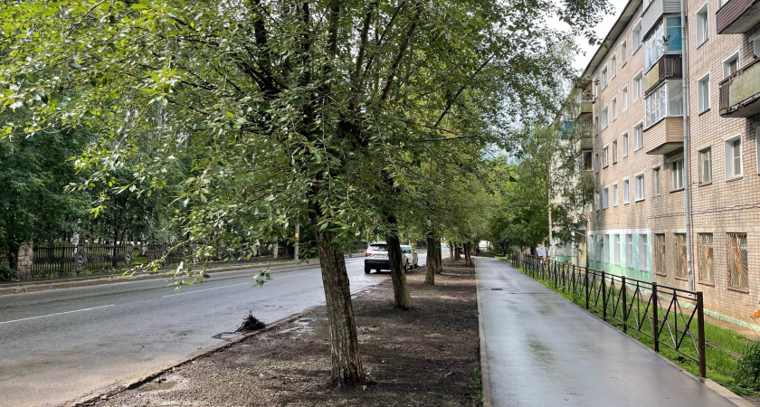 В Кирове по требованию депутата гордумы снесут десяток тополей ради парковки