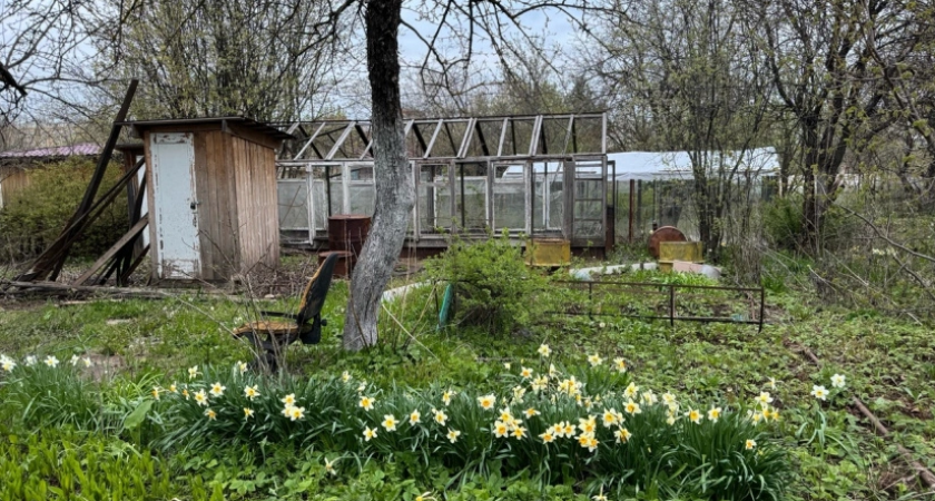 Каждый сентябрь закапываю на огороде тряпку с керосином: вот зачем так делаю — пользы на миллион и минимальные траты