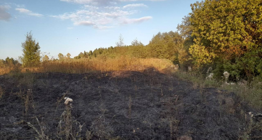 В Сунском районе огнеборцы предотвратили масштабный лесной пожар