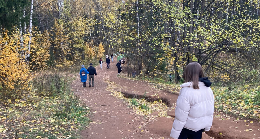 Бабье лето не хочет покидать Кировскую область: в прогнозе - теплый октябрь