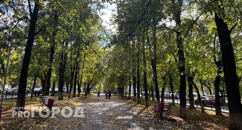 Тепло возвращается: в Кирове снова наступит бабье лето  