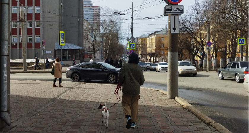 Что делать при появлении в небе беспилотника: инструкция, которая спасет вам жизнь