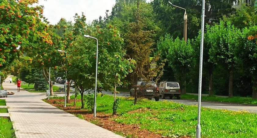 В Кирове преобразятся три сквера