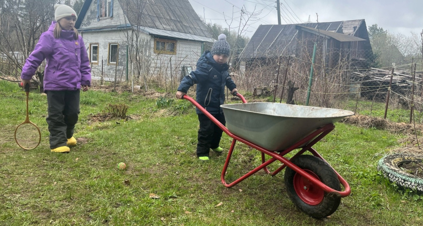 Лучше тонны навоза: посыпьте землю этим продуктом из кухни, и вас ждет богатый урожай