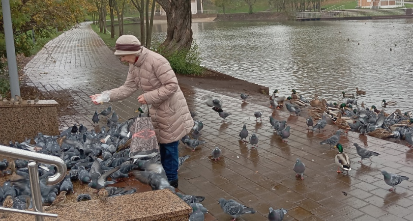 "Начислят вторую пенсию": пенсионерам 60-65 лет и старше приготовили приятный сюрприз