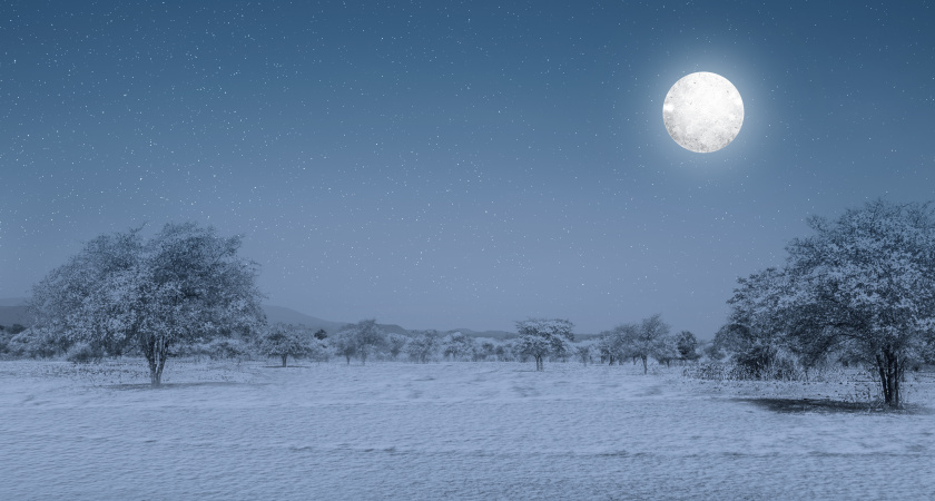 Кировчане увидят красивое полнолуние в ночь с 15 на 16 декабря