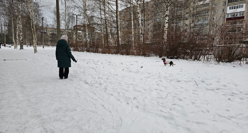 По 10 000 рублей отдельно от пенсии в январе. В России обрадовали всех пенсионеров