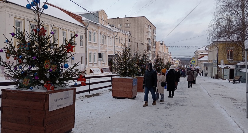 Два молодых кировчанина украли десяток игрушек с елок на улице Спасской