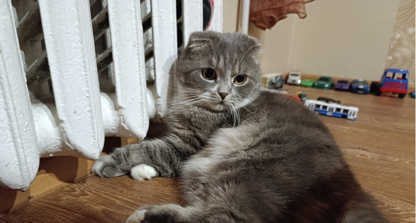 Накрываю так батарею, и она печет как солнце в Сахаре - в квартире теплее в 2 раза