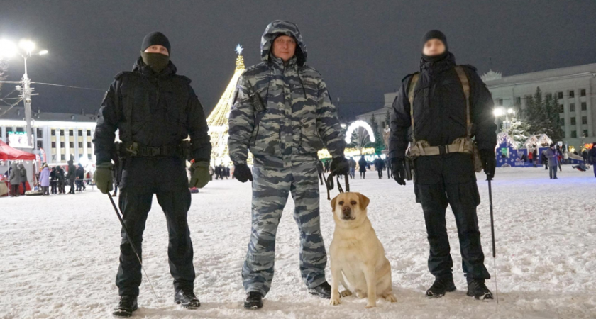 В новогоднюю ночь за безопасностью кировчан следил четвероногий сотрудник Арчи 