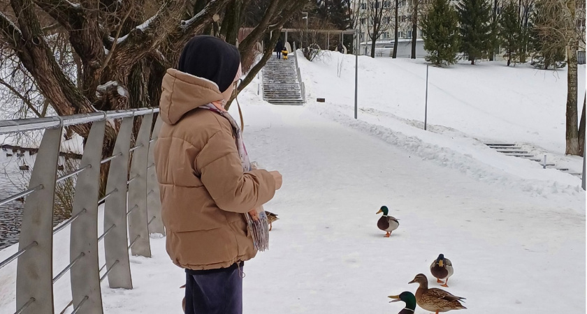 Каникулы в школах перенесли: утверждены новые весенние даты. Родители не в восторге