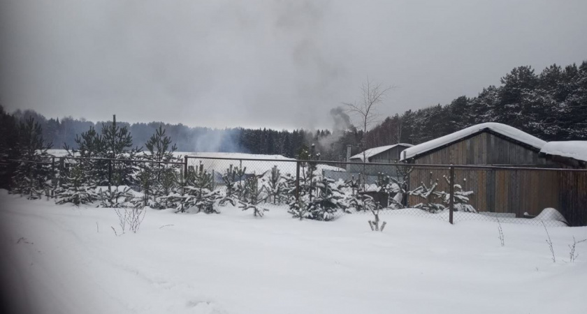 Предприятие в Юрьянском районе уличили в загрязнении окружающей среды