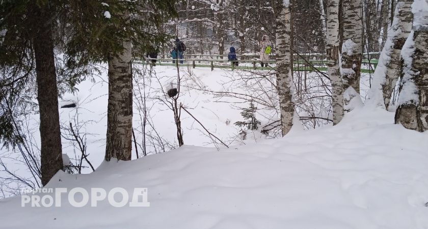 В Кирове задержаны двое молодых людей, искавших что-то в снегу