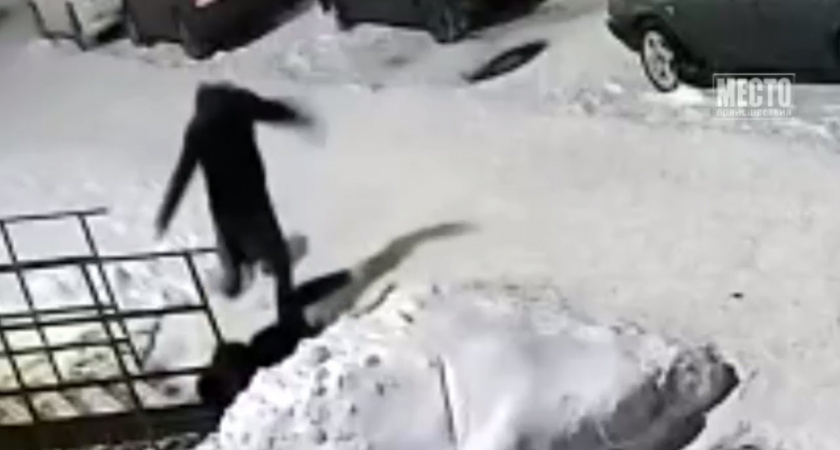 В Кирове мужчина в маске жестоко избил девушку на улице