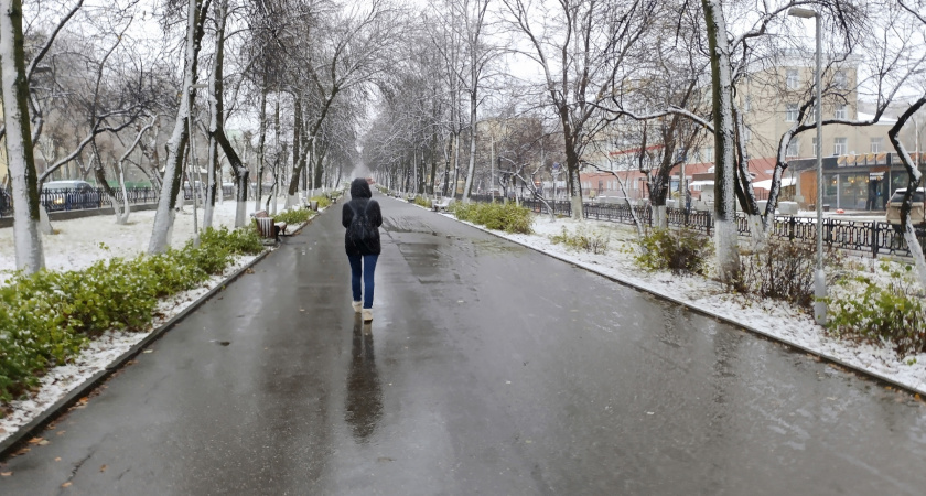 Каким будет лето 2025 после аномально теплой зимы: эксперты рассказали, к чему готовиться садоводам