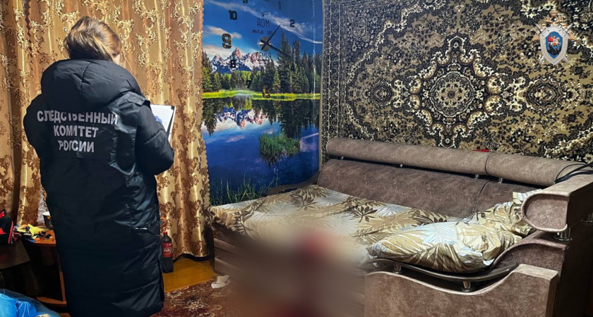 Пять ножевых ударов в грудь и спину нанесла жительница Опарино супругу