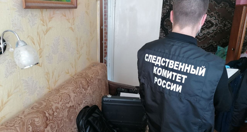 В Зуевке отец-пьянчуга полгода истязал двух родных дочерей