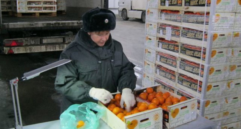 В магазины Кирова поступит 1,2 тонны зараженных мандаринов из Марокко